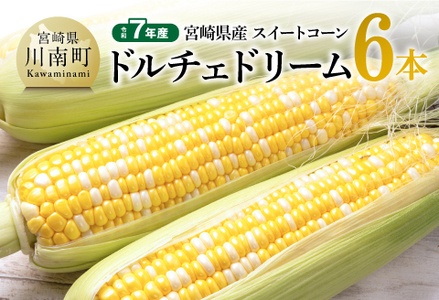 【令和7年産】宮崎県産とうもろこし　スィートコーン「ドルチェドリーム」6本 【 とうもろこし スイートコーン コーン 野菜 】