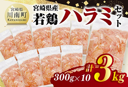 {茧Y{@n~3kgi300g×10j y { { n~  {茧Y  pbN  z