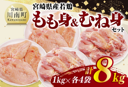 {茧Y{@gނːgZbgv8kgi1kg×e4܁j y { {   ނ Zbg g `L pbN {茧Y  z
