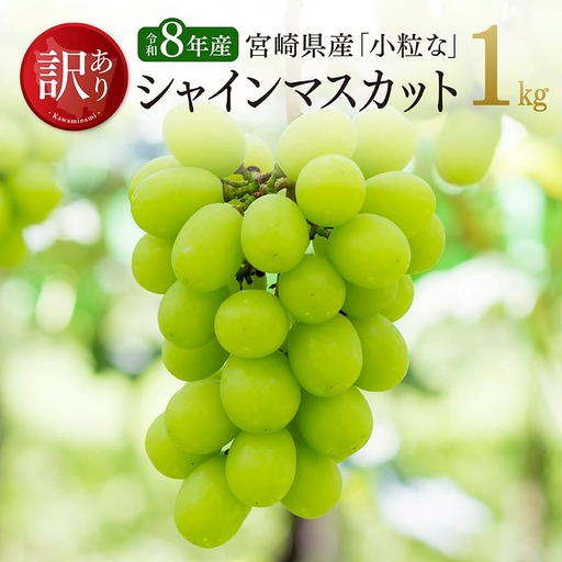 【令和8年産】【訳あり】小粒なシャインマスカット1kg 【 ぶどう 果物 葡萄 フルーツ ブドウ デザート 川南町産 数量限定 期間限定 】