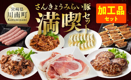 [令和7年7月発送][かんたん調理で満喫コース](加工品)さんきょうみらい豚 満喫セット 肉 国産 九州産 豚肉 豚肉 豚肉 豚肉 豚肉 豚肉