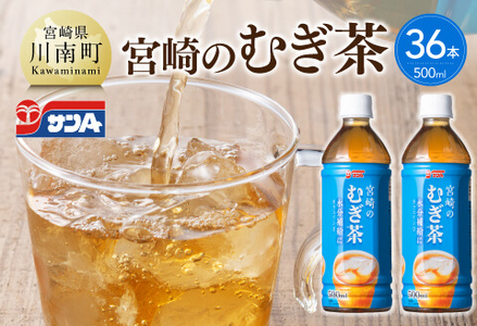 TA{̂ނ@500ml PET×18{×2P[Xy   {茧Y ybg{g z