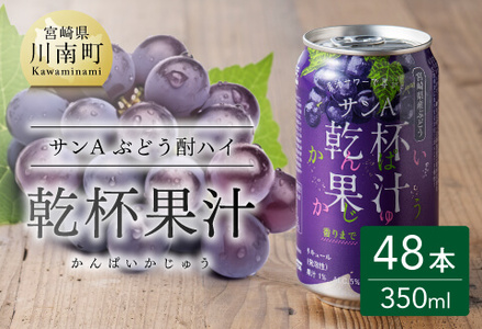 サンA乾杯果汁ぶどう酎ハイ 350ml缶×24本×2ケース [ 飲料 酎ハイ お酒 ぶどう 宮崎県産 ]