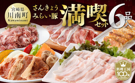※令和7年8月発送分※小分けで使いやすい！さんきょうみらい豚満喫セット 【 しゃぶしゃぶ 切り落とし ウデ モモ 鉄板焼 餃子 生ハム切り落とし ハンバーグ 】