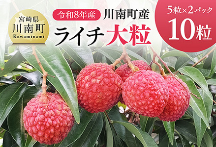 yߘa8NYz쒬YC`i嗱j10(5×2pbN) y YC` t[c fU[g {茧Y z