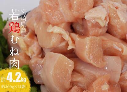 yߘa7N9z{茧Y{ނ˓4.2kg y { ނ˓   {n `L Y BY {茧Y wV[  z