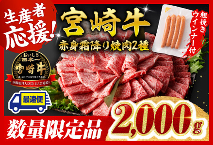  yߘa7N10z{苍 ԐgE~ē22kg+e҂ECi[ y  ~`N  z