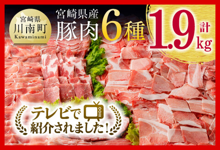 ヒルナンデスで紹介!※令和7年10月発送※宮崎県産豚肉6種 1.9kg [小分け セット 豚肉 豚肉]