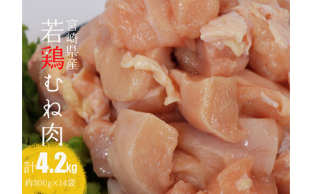 yߘa7N10z{茧Y{ނ˓4.2kg y { ނ˓   {n `L Y BY {茧Y wV[  z