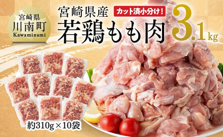 yߘa7N10z {茧Y {  310g×10 (3.1kg) y {    炠 `L Y BY {茧Y  z