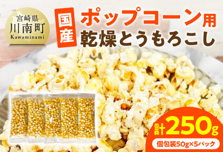 国産ポップコーン用(乾燥とうもろこし) 250g(個包装50g×5パック) [ 数量限定 期間限定 宮崎県産 ポップコーン ]