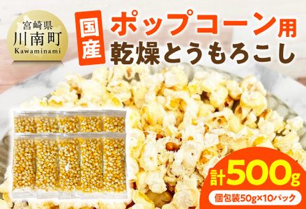 Y|bvR[piƂ낱j@500gi50g×10pbNj y ʌ Ԍ {茧Y |bvR[ z