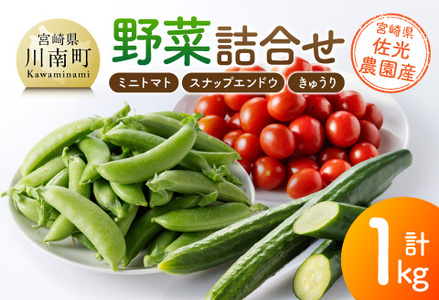 宮崎県佐光農園産 野菜詰め合わせ(ミニトマト・スナップエンドウ・きゅうり)計1kg [ ミニトマト スナップエンドウ きゅうり 野菜 詰め合わせ ]