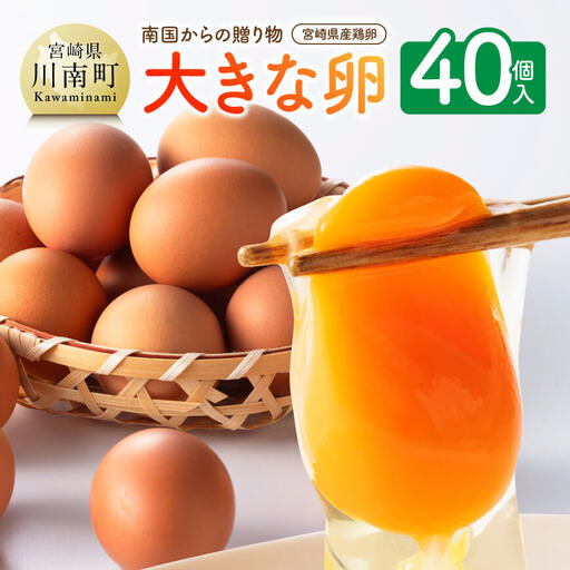宮崎県産鶏卵　「南国からの贈り物」大きな卵40個入り（35個+破損補償5個）【たまご 卵 玉子 タマゴ】