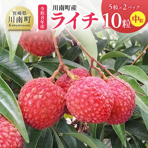 【令和8年産】川南町産ライチ（中粒）10粒(5粒×2パック)【 国産ライチ フルーツ デザート 宮崎県産 】