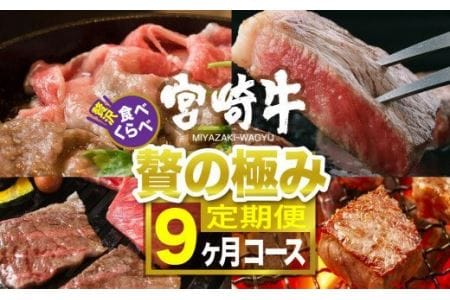 宮崎牛 食べ比べ 贅の極み 9ヶ月コース[肉 牛肉 国産 黒毛和牛 肉質等級4等級以上 4等級 5等級 牛肉]