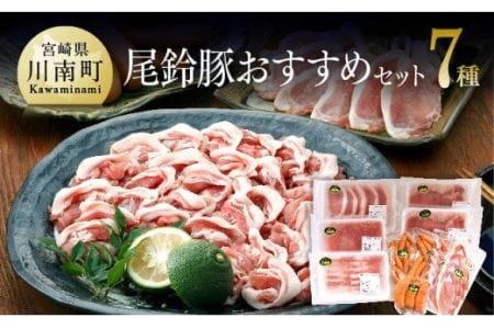 尾鈴豚 豚肉おすすめセット[肉 豚肉 国産 九州産 宮崎県産 豚しゃぶ カツ 焼肉 バーベキュー バラエティ豚肉セット]