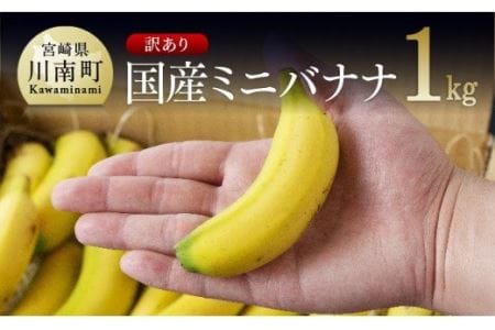【訳あり】国産ミニバナナ1kg【国産 バナナ 無農薬 フルーツ 果物 デザート 朝食 スムージー 訳あり】