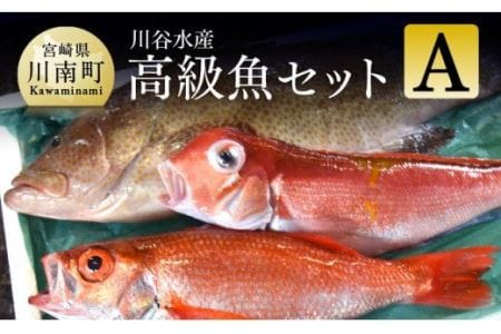 白身 高級 魚 その他の魚介類の人気商品 通販 価格比較 価格 Com