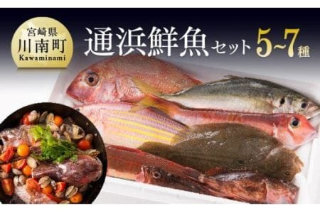 『日向灘海の幸』通浜鮮魚セット[鮮魚 魚介 セット 新鮮 漁協直送 刺身 海の幸 魚介類 ]