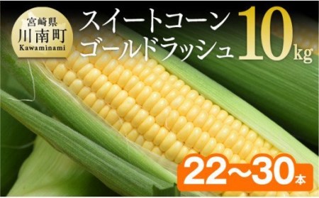 【令和7年発送】朝どれ！守部さんちのゴールドラッシュ10kg【 先行予約 数量限定 期間限定 とうもろこし スイートコーン 産地直送 令和7年発送 朝どれ スィート―コーン 新鮮】