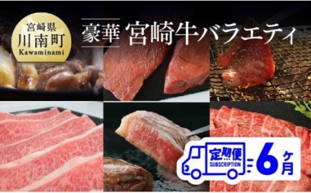 [定期便] 豪華! 宮崎牛 バラエティ6ヶ月コース [肉 牛肉 全6回 月替わり ステーキ 焼肉 スライス A4 A5 A4以上]