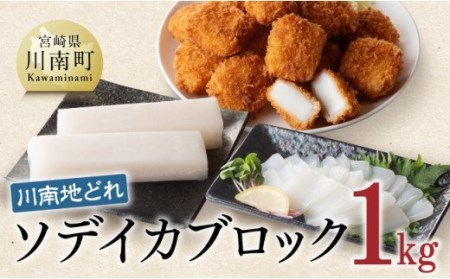 川南地どれ！ ソデイカブロック 1kg 【国産 日向灘 イカ ブロック 小分け 便利 再冷凍可 送料無料】