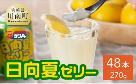 サンA 日向夏 ゼリー (270g缶×48本)【飲料 ゼリー飲料 ゼリー 日向夏果汁 ピューレ 缶 セット ジュース 長期保存 備蓄 送料無料】