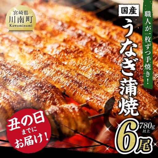 【丑の日までにお届け！】ひむか 山道うなぎ 蒲焼 6尾分 (780g以上) 【 国産 九州産 宮崎県産 うなぎ ウナギ 鰻 鰻の蒲焼き 蒲焼 】