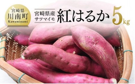 宮崎県産 サツマイモ 紅はるか 5kg【低温貯蔵 九州産 いも 芋 さつまいも ベニハルカ 野菜】