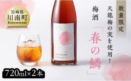 [数量限定]天龍梅の実を使用!オリジナル梅酒「春の鱗」(720ml×2本)