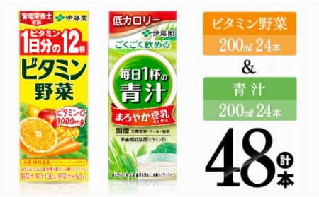 伊藤園 ビタミン野菜&青汁(紙パック)48本 [ 伊藤園 飲料類 野菜ジュース ミックスジュース 青汁 ジュース 野菜ジュース セット 詰め合わせ 飲みもの ]