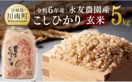 【令和6年産】永友農園産「こしひかり（玄米）」5kg 【米 お米 玄米 国産米 米飯 米 お米 宮崎県産米 コシヒカリ お米 コメ おこめ 送料無料 お米】