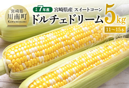 【令和6年産】宮崎県産スイートコーン「長友農園産ドルチェドリーム」5kg【 とうもろこし コーン とうきび 野菜 】