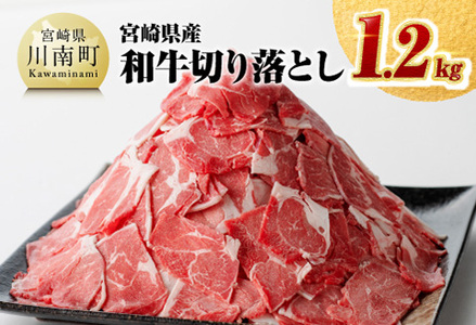 数量限定 宮崎県産和牛切り落とし1.2kg [牛 国産牛肉 牛 肉 牛 お肉 切落し 牛 牛肉 牛]