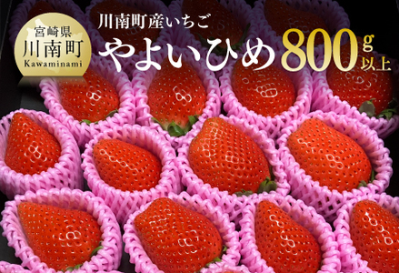 yߘaWNz{茧Yi쒬Yj@u悢Ђ߁vv800 y s\ Ԍ ʕ C`S  t[c z