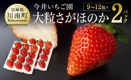 [令和8年発送]宮崎県産いちご 大粒さがほのか(9〜12粒入)×2パック [ 国産 イチゴ 苺 果物 くだもの 期間限定 数量限定 ]