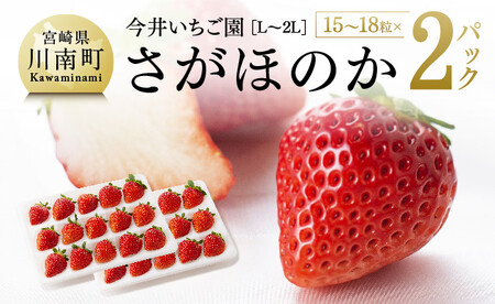 [令和8年発送]宮崎県産いちご さがほのかL〜2L(15〜18粒入)×2パック [ 国産 イチゴ 苺 くだもの 果物 期間限定 数量限定 ]