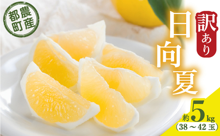 ≪先行予約≫都農町産「訳あり日向夏(約5kg)」 フルーツ 果物 柑橘 国産
