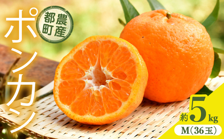 先行予約≪期間限定≫都農町産「ポンカン(Mサイズ)」 約5kg フルーツ 果物 柑橘 国産
