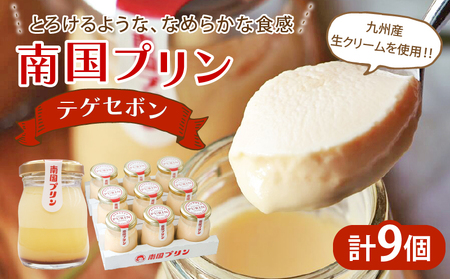 南国プリン「テゲセボン(計9個)」 スイーツ 洋菓子 国産_T038-0051