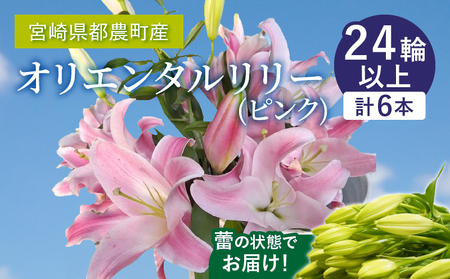 「オリエンタルリリー ユリ」(ピンク) 計6本 生花 切花 百合 国産_T045-002[人気 ギフト 花 花束 生花 植物 鑑賞用 贈り物 お土産 送料無料 プレゼント おすすめ オススメ ユリ 詰合せ 詰め合わせ お取り寄せ お取寄せ 誕生日 記念日 母の日 父の日バレンタイン ホワイトデー お盆 御中元 お中元 中元 お彼岸 残暑御見舞 残暑見舞い 寒中お見舞い クリスマス お歳暮 御歳暮 敬老の日 卒業式 卒業祝い 入学式 入学祝い お祝い イベント パーティー 贅沢 高級 ご褒美 大満足 贈答用 贈答品 お返し おすそ分け おすそわけ お裾分け 手土産 うち時間 グルメ 特産品 地域の品 お礼の 最新ランキング 九州産 宮崎県産 都農町 新着 新生活]