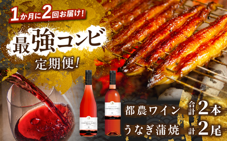 ≪定期便≫＼1か月に2回お届け!!/都農ワイン×うなぎ蒲焼★最強コンビ 酒 飲料 鰻 魚介 国産_T999-003[人気 うなぎ ワイン ギフト ワイン 食品 おかず お土産 贈り物 送料無料 プレゼント おすすめ オススメ 特産品 都農町 宮崎県産 ]