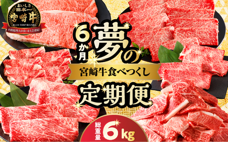 6ց▲̋{苍HׂZbg(d6kg)     Y_T030-1433