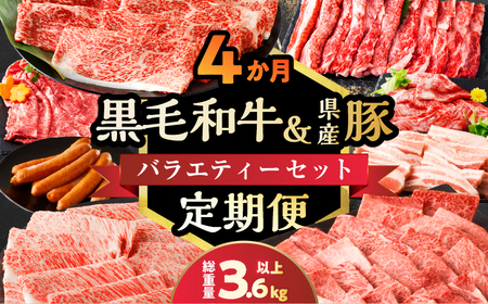 ≪4か月定期便≫黒毛和牛&県産豚バラエティーセット(総重量3.6kg以上) 肉 牛 牛肉 おかず 国産_T030-069[人気 肉 黒毛和牛 定期便 ギフト 食品 すき焼き しゃぶしゃぶ 焼肉 BBQ 送料無料 プレゼント おすすめ オススメ 国産牛 すきやき 生姜焼き 鍋 グルメ 特産品 宮崎県産 ]