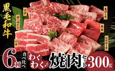 【4月発送】生産者応援≪訳あり≫黒毛和牛(経産牛)6種焼肉セット(合計300g) 肉 牛 牛肉 おかず 国産_T030-022-704【農の都BBQ特集】