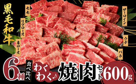 生産者応援≪訳あり≫黒毛和牛(経産牛)6種焼肉セット(合計600g) 肉 牛 牛肉 おかず 国産_T030-120【農の都BBQ特集 生産者応援企画】