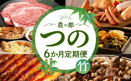 ≪6か月お楽しみ定期便≫都農町定期便(竹) 肉 加工品 鰻 国産