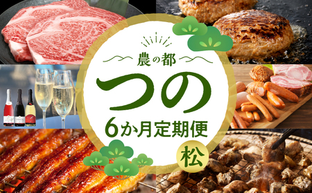 ≪6か月お楽しみ定期便≫都農町定期便(松) 肉 加工品 鰻 国産