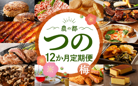 ≪12か月お楽しみ定期便≫都農町定期便(梅) 肉 加工品 デザート 国産_T999-0081